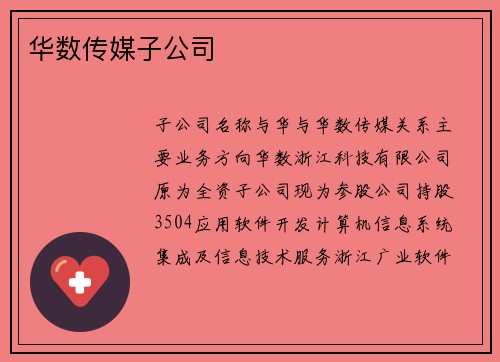 华数传媒子公司